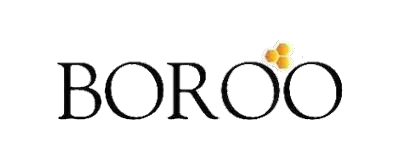 Boroo